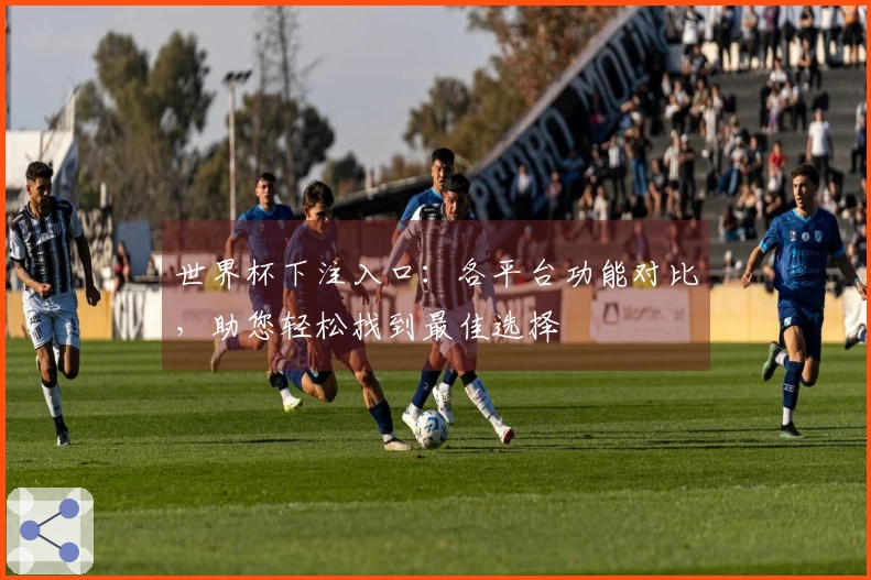 世界杯下注入口：各平台功能对比，助您轻松找到最佳选择
