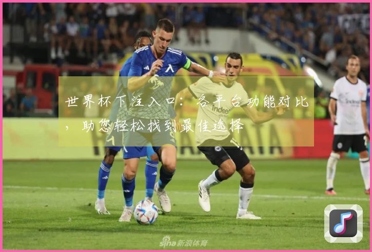 世界杯下注入口：各平台功能对比，助您轻松找到最佳选择