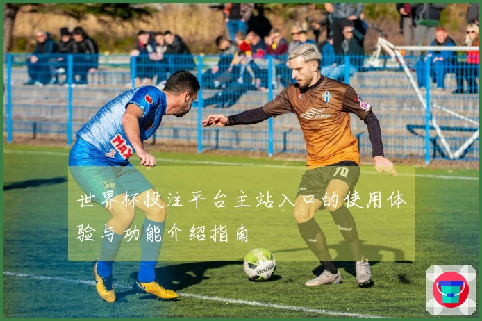 世界杯投注平台主站入口的使用体验与功能介绍指南