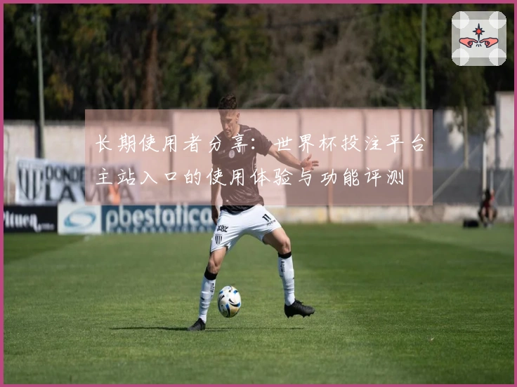 长期使用者分享：世界杯投注平台主站入口的使用体验与功能评测