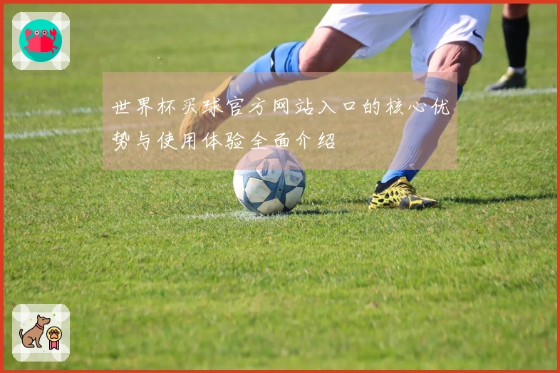 世界杯买球官方网站入口的核心优势与使用体验全面介绍