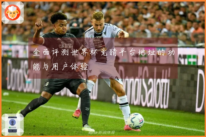 全面评测世界杯竞猜平台地址的功能与用户体验