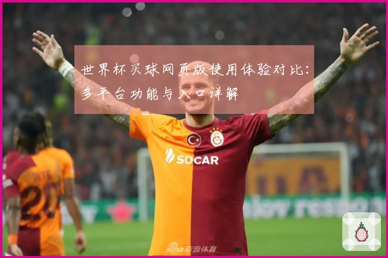 世界杯买球网页版使用体验对比：多平台功能与入口详解