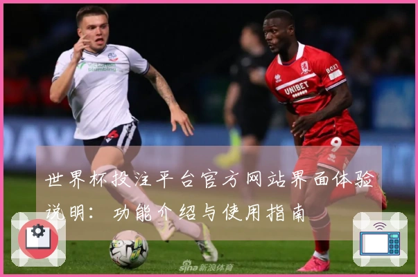 世界杯投注平台官方网站界面体验说明：功能介绍与使用指南