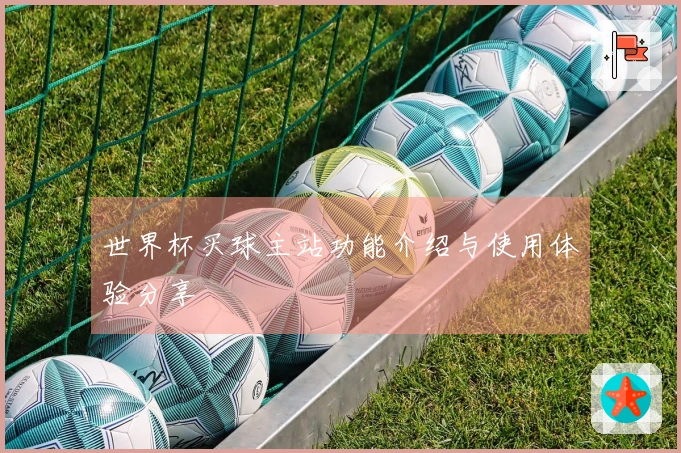 世界杯买球主站功能介绍与使用体验分享