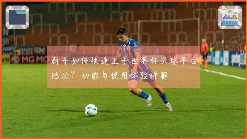 新手如何快速上手世界杯买球平台地址？功能与使用体验详解