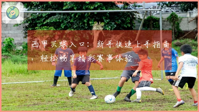西甲买球入口：新手快速上手指南，轻松畅享精彩赛事体验