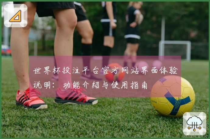 世界杯投注平台官方网站界面体验说明：功能介绍与使用指南