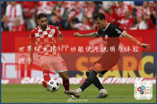 世界杯竞猜APP功能使用说明与体验指导