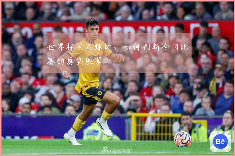 世界杯买足球时,如何判断冷门比赛的真实胜算?