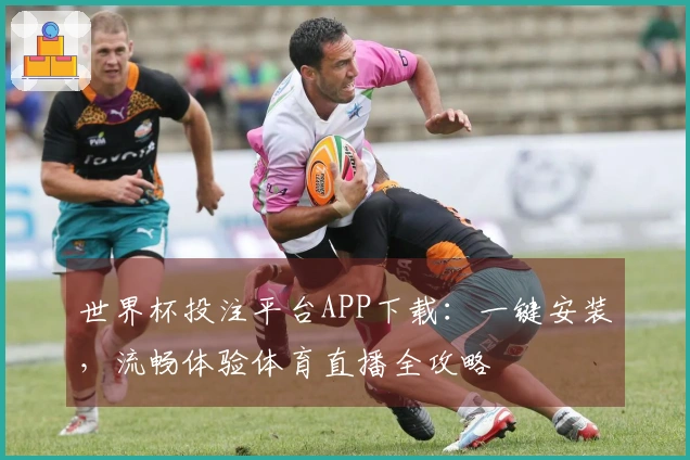 世界杯投注平台APP下载:一键安装,流畅体验体育直播全攻略