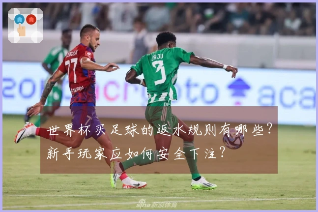 世界杯买足球的返水规则有哪些？新手玩家应如何安全下注？